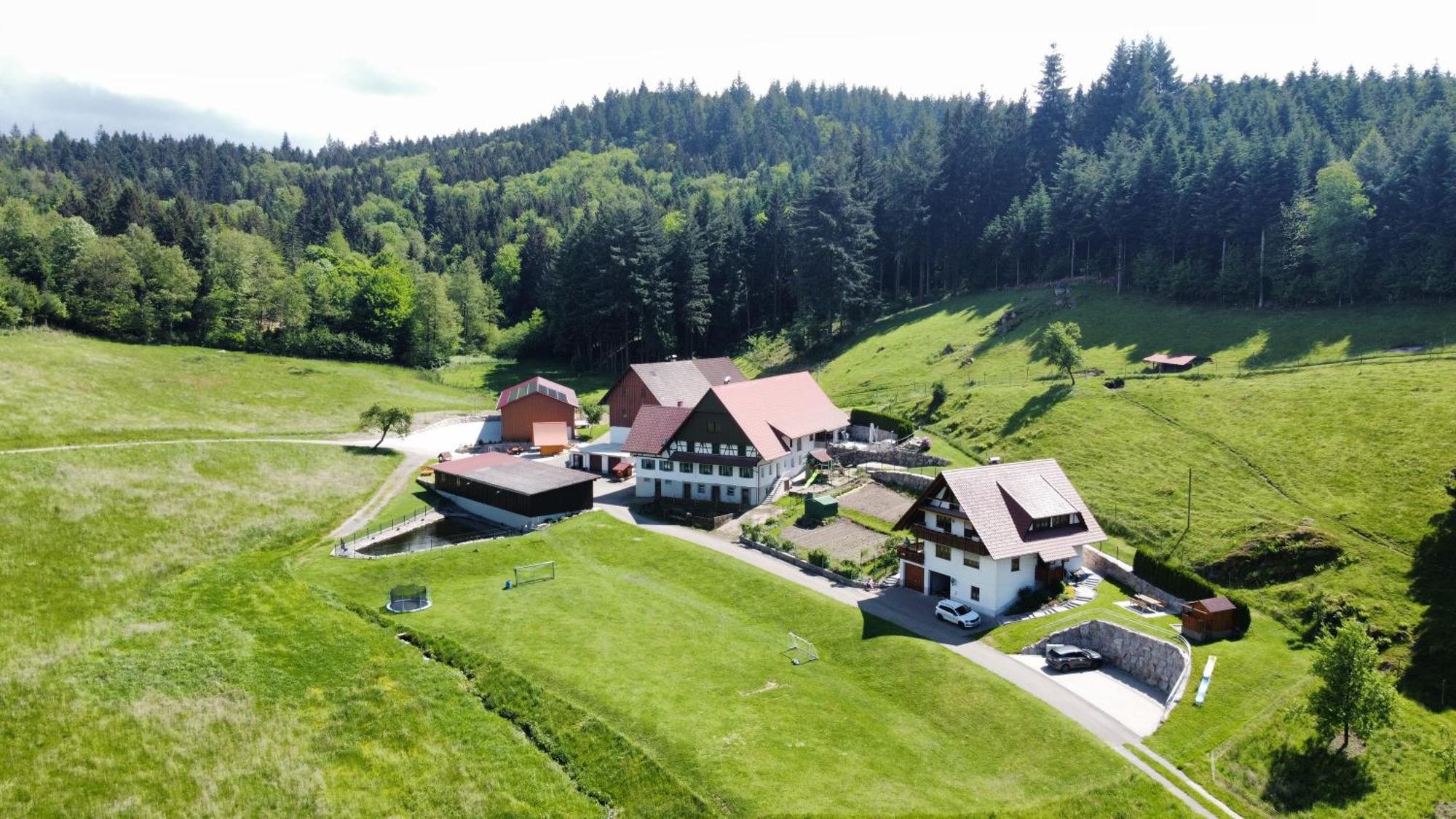 Ferienhof Benz Kappelrodeck Esterno foto